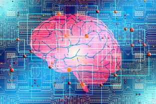 VR技术在教育领域的革命性应用研究