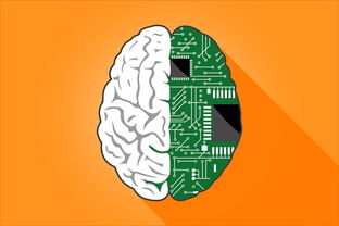 探索人工智能领域的专业网站，资源、知识与机遇的宝库